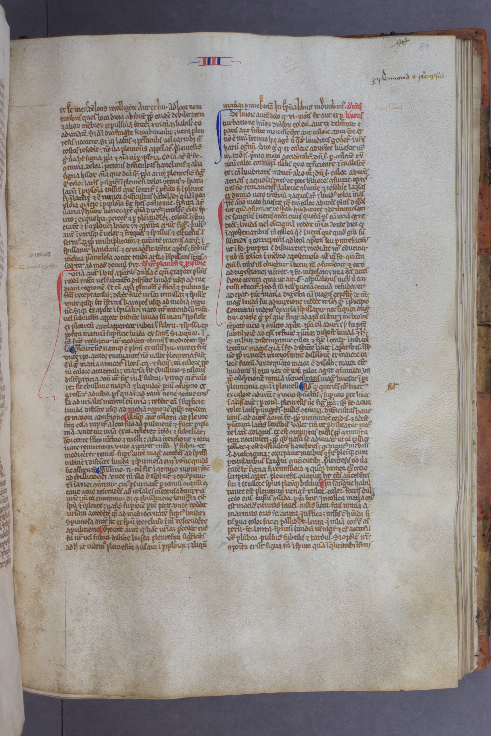 Folio 89 recto